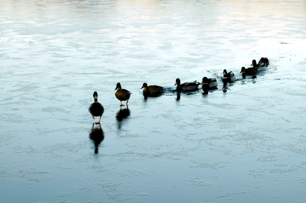 Succession is front of investors' minds