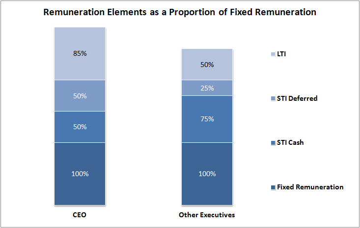 Remuneration Elements as a Proportion of Fixed Remuneration